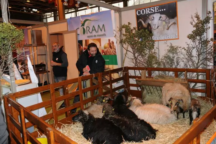 Le stand du Coram, races des massifs