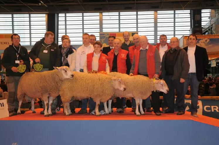 Podium du concours mouton boulonnais