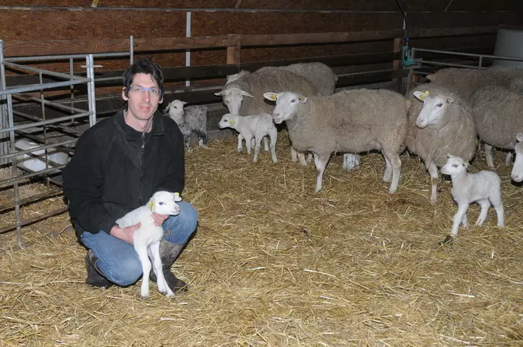 Chez les frères Baikrich: d'un élevage de 50 moutons à la création d'une  filière pour écouler des agneaux toute l'année 