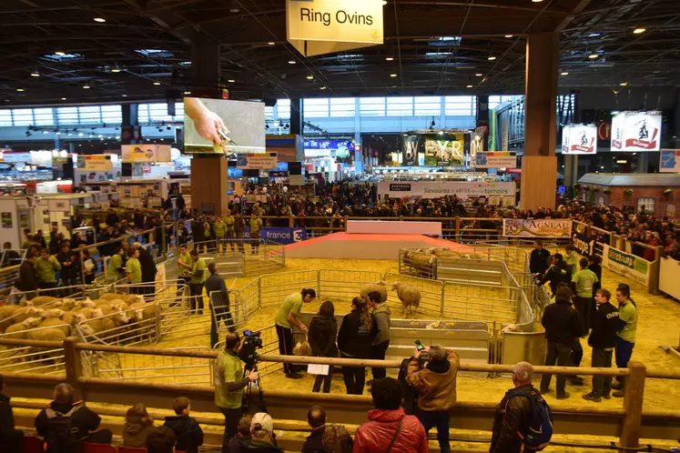 Les épreuves ont animé les rings pendant toute la première journée du salon de l'agriculture. © D. Hardy