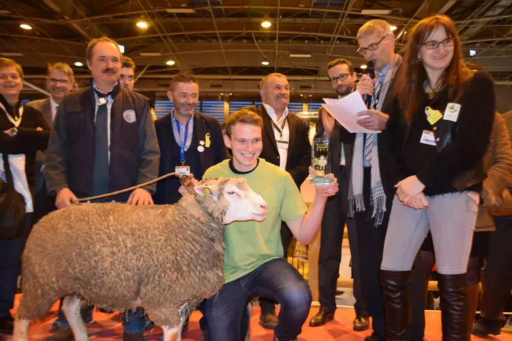 Originaire du Jura, Flavien Olivier a été le plus précis, le plus rapide et le plus technique parmi les 38 jeunes bergers en finale nationale à Paris. © D. Hardy