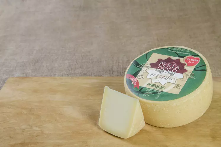 Dix éleveurs produisent du lait pour le fromage anti-cholestérol de la laiterie Argiolas de Dolianova. © DR