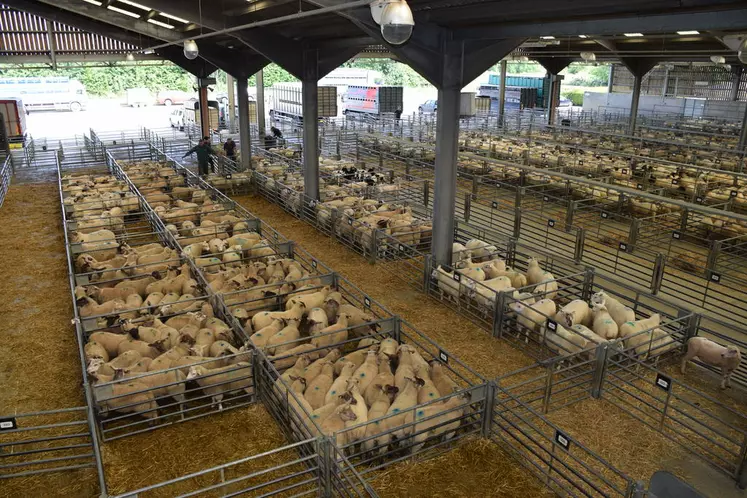 Les partisans de la sortie de l’Union Européenne espèrent réécrire librement les réglementations et les politiques de soutien à l’agriculture. © D. Hardy