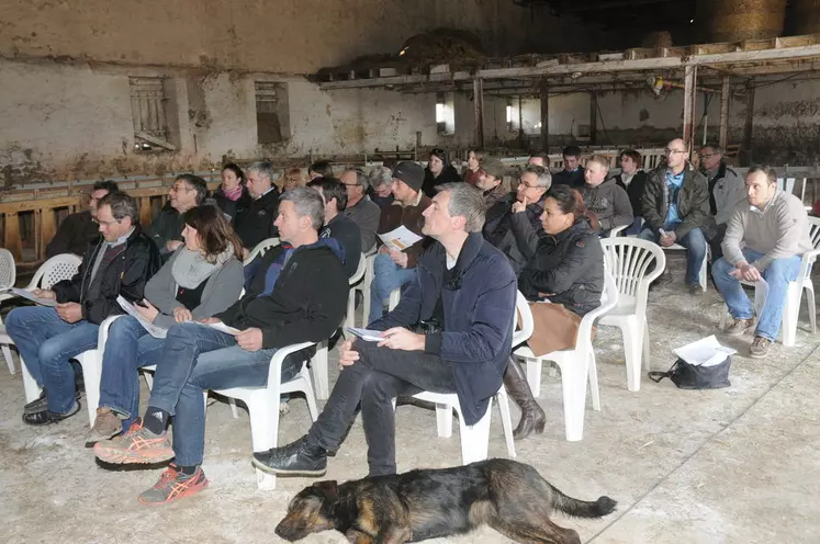 Une trentaine d’éleveurs et de jeunes en formation ont participé à cette deuxième édition des rendez-vous de l’ovin en Poitou-Charentes sur le thème de l’emploi. © A. Villette