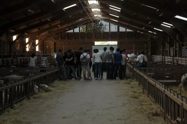 Les participants ont pu assister à des ateliers techniques dans les bâtiments du pôle ovin. © M.-A. Batut