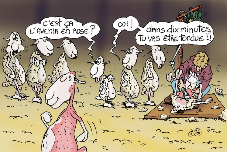 © A. Chrétien