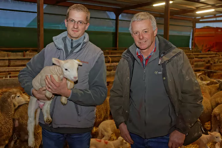 Cyril de Bonnay et son père Michel tirent leur épingle du jeu grâce aux cultures porte-graines : elles offrent un débouché auprès des semenciers, et permettent de faire chuter les coûts d’alimentation. © G. Perrin