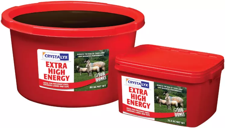 De nombreux essais ont montré l’intérêt de l’apport d’Extra High Energy sur ovins. © Crystalyx