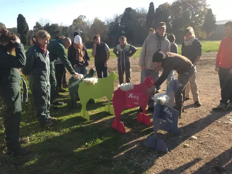 La première session de formation à l'agnelage a rappelé, entre autres, l'importance d'évaluer l'état corporel des brebis.  © M. Villard