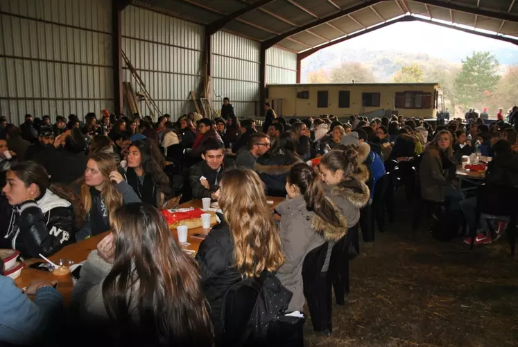 Lors du repas, les grillades d'agneaux ont été particulièrement appréciés.  © S. Béhéty