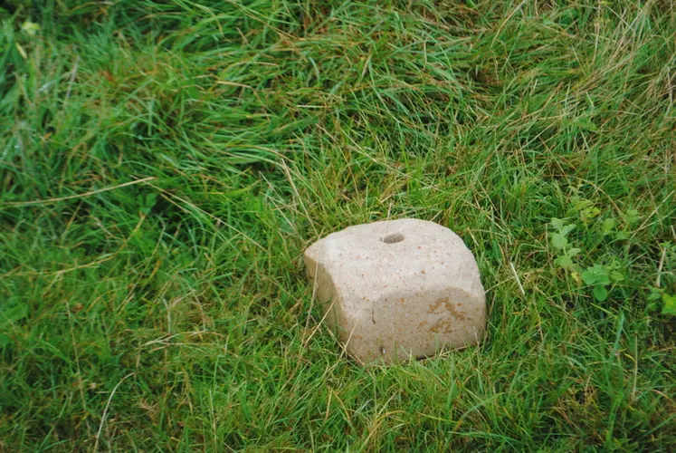 Pour couvrir leurs besoins, les brebis doivent consommer 15 à 20 g de pierre à lécher par jour. Ni plus, ni moins ! © Ciirpo