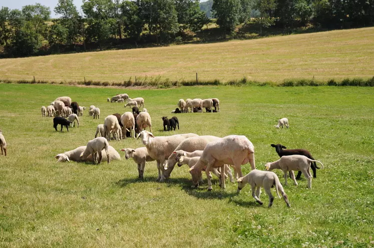 40 % des citoyens se disent satisfaits du respect de l’environnement par les éleveurs. © L. Geffroy