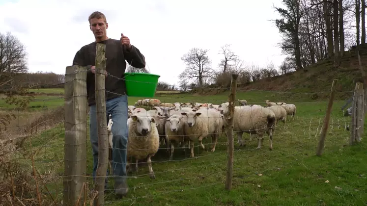 Benoit Daudon apprécie de mettre les agneaux au monde et de les voir grandir jusqu’à la vente. © P. Sandrin