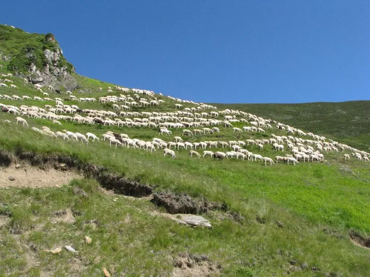 Les zones de montagnes sont généralement considérées comme des zones à handicaps naturels.  © L. Geffroy