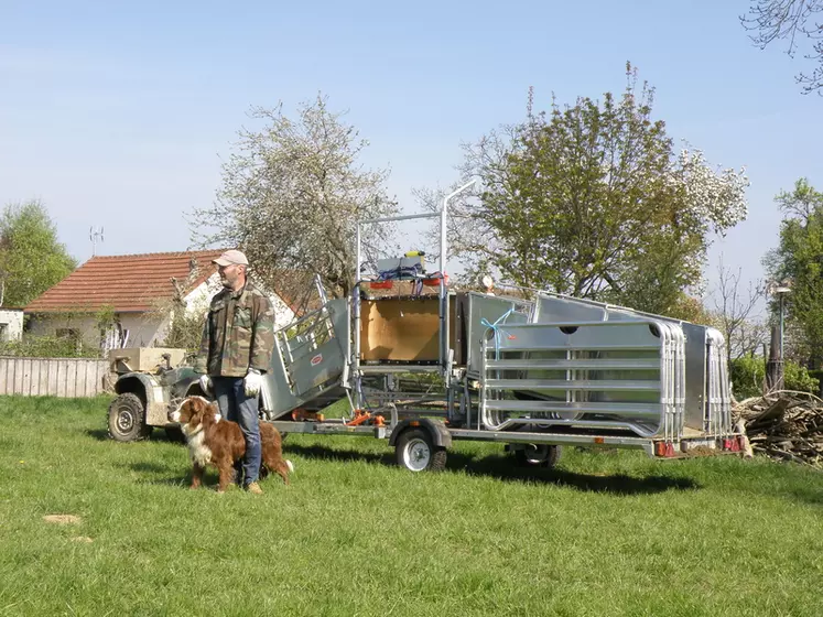 Christophe commande à la voix à l’un de ses chiens, de ramener vers lui une troupe de brebis et leurs agneaux avant une pesée avec le Combi Clamp. © J.-F. Rivière