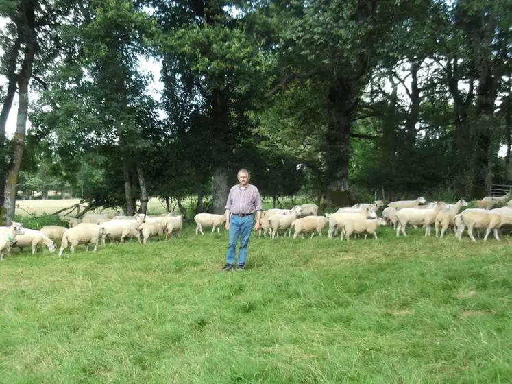 Jean-Marie Renard déplace les animaux tous les jours afin de stimuler leur appétit. © N. Augas