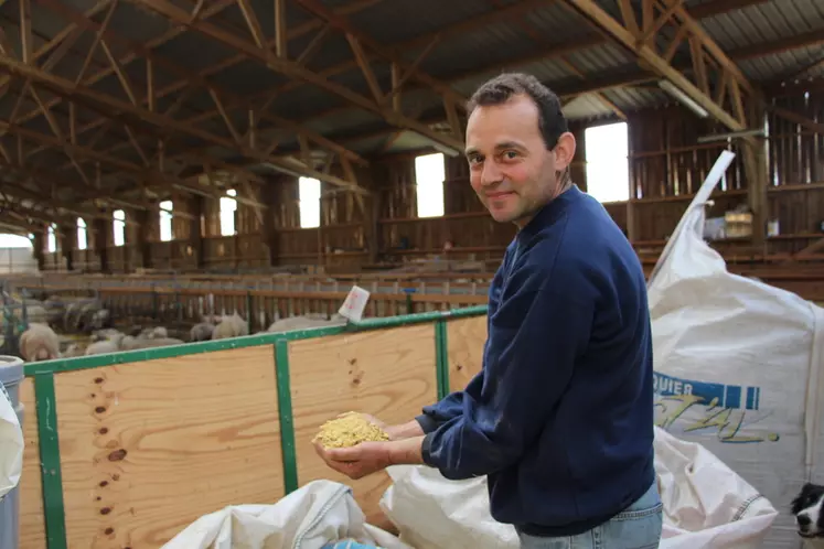 Jérôme Chaigneau amène son lupin chez Pasquier Vgtal, à 12 km de chez lui, et récupère les graines toastées en big-bag par 3 tonnes. © V. Bargain
