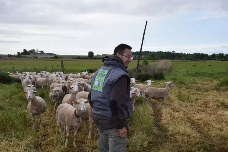 Cédric Perez croit au potentiel de l’élevage ovin en Gironde. Il veut doubler sa production d’agneau en cinq ans. © D. Hardy