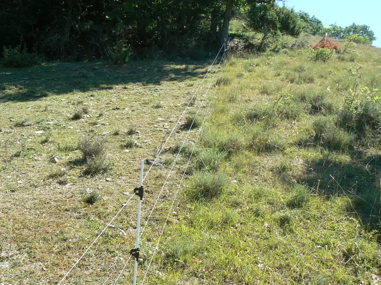 A gauche, un parcours valorisé dans le programme Mil'ouv, à droite un milieu en friche. © Idele