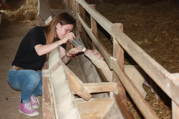 Les visiteurs ont apprécier de pouvoir découvrir le métier d'éleveur. © M.-A. Batut