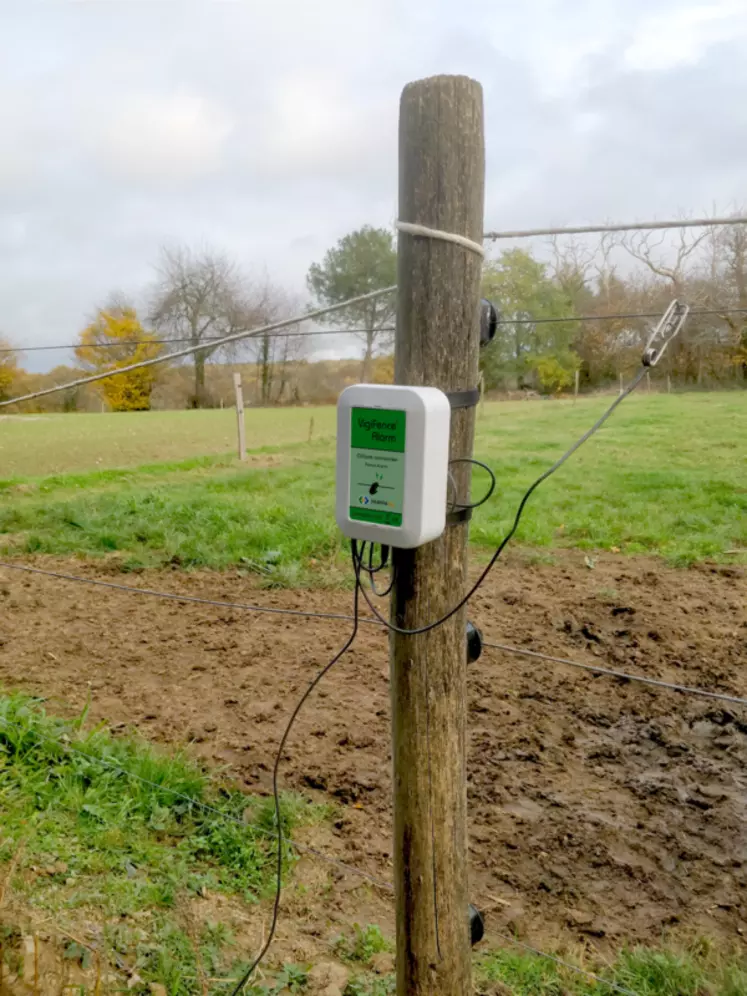Le boîtier VigiFence est la première offre de la gamme d'objets connectés que développe la société Pampaas. © PAMPAAS