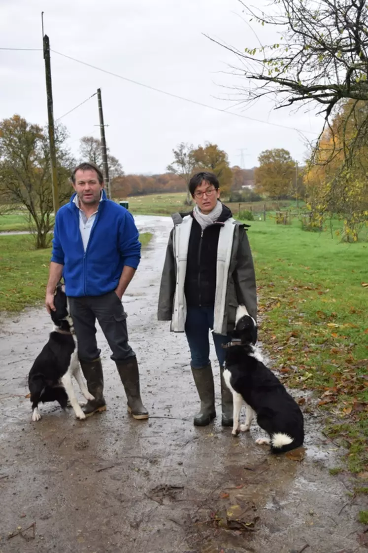 Tous deux passionnés par le dressage et l'utilisation de chien de troupeaux, Anne Lefébure et Antoine Brimboeuf participent à des compétitions et animent des formations. © DR