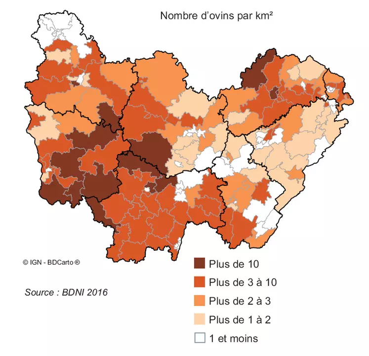 Densité d’ovins en Bourgogne-Franche-Comté © BDNI 2016/Agreste Bourgogne-Franche-Comté