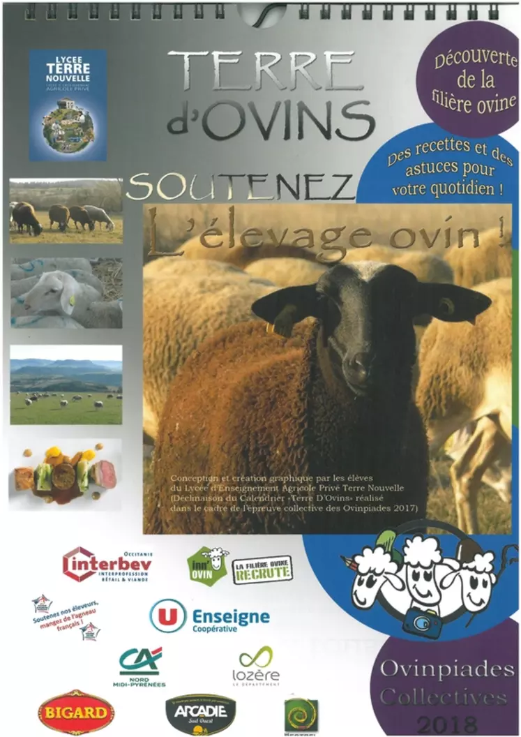 Chaque mois, un aspect de l’élevage ovin est présenté : bâtiment, transhumance, interview d'éleveur, d'abatteur ou de cuisinier... © Leap Terre Nouvelle