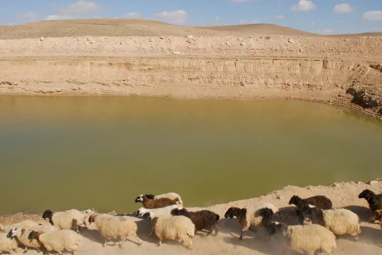 La gestion des ressources hydriques, rares dans cette zone désertique, fait partie du projet d'appui à l'élevage de petits ruminants. © Fida