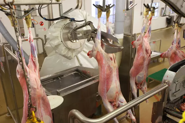 Les abattoirs néozélandais ont développé des robots pour découper automatiquement les carcasses. © Milmeq