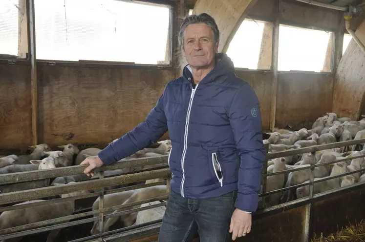 Jean-Paul Gayrard, éleveur. « Avec le gène culard, nous avons a gagné quasiment une classe sur les agneaux. Il n’y a presque plus de O et il y a quelques U. » © B. Griffoul