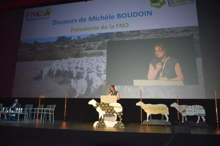 Michèle Boudoin, présidente de la FNO, a apprécié que "les gens se parlent sur la complémentarité des productions d'agneaux laitiers Lacaune et ceux du cheptel allaitant". © D. Hardy