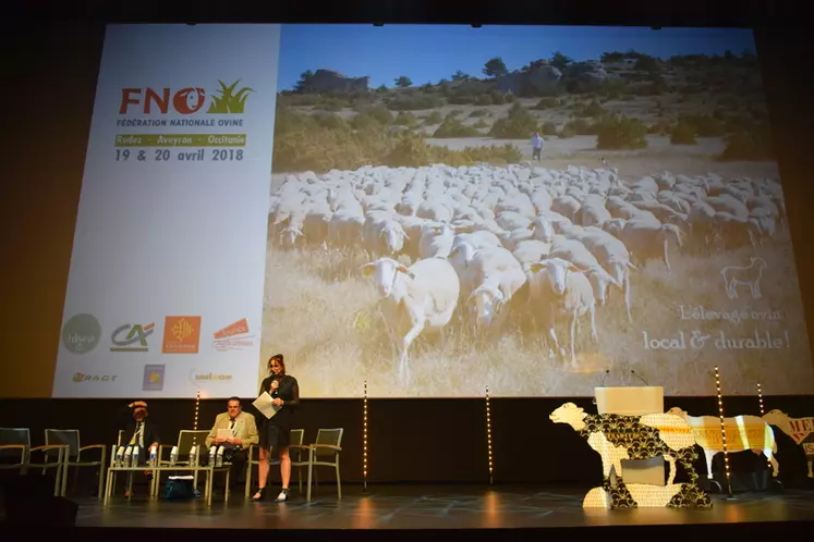 Michèle Boudoin, présidente de la FNO, a apprécié que "les gens se parlent sur la complémentarité des productions d'agneaux laitiers Lacaune et ceux du cheptel allaitant". © D. Hardy