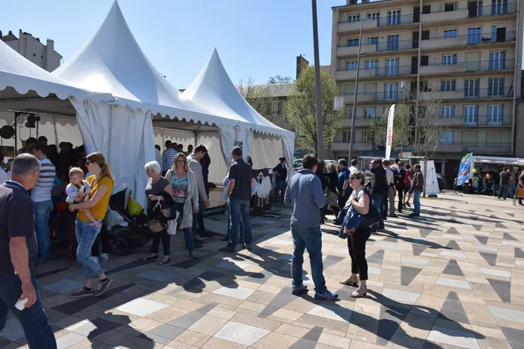 Sur la place du foirail de Rodez, le grand public a pu déguster du lait, yaourt, roquefort et fromage au lait de brebis tandis que les plus jeunes découvraient l’élevage ovin à travers des animations. © D. Hardy