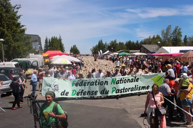 Fondée le 7 juin 2018 en Lozère, la FNDP veut prouver que la cohabitation entre prédateurs et éleveurs est impossible et que ces prédateurs ont été réintroduits illégalement. © FNDP