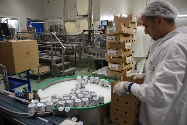 160 employés se relaient en trois huit pour faire tourner l’usine à plein et produire jusqu’à 9 000 pots de yaourt par heure. © D. Hardy