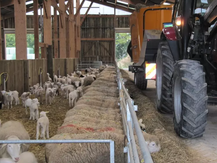 Investir dans une mélangeuse ne se justifie qu’avec une ration humide. © EPLEFPA de Troyes
