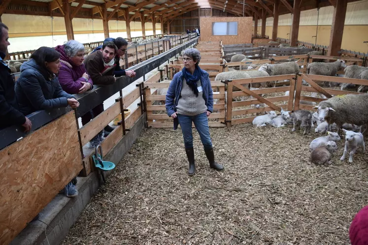 Les JTO se sont terminés par la visite de la ferme expérimentale ovine Ciirpo du Mourier.  © D. Hardy