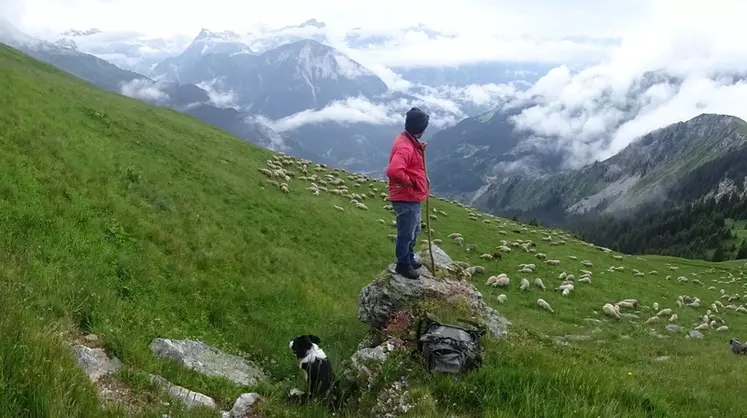 Nicolas Peccoz est éleveur dans les contreforts sud du Vercors et il mene son troupeau en alpage de mai à octobre. © N. Peccoz