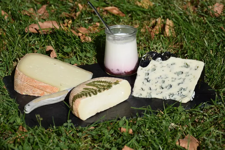 Le Brebiou, le roquefort, le Lou Perac ou l'ossau iraty sont les fromages au lait de brebis les plus spontanément cités. © D. Hardy