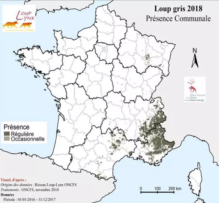 La carte de l'ONCFS montre que 524 communes qui connaissent uneprésence régulière du loup et 434 communes une présence qualifiée d’irrégulière. © Source : ONCFS