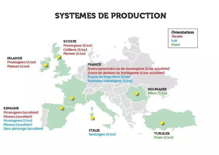 Les élevages étudiés se situent dans les six pays européens gros producteurs d'ovins et en Turquie. © Sheepnet