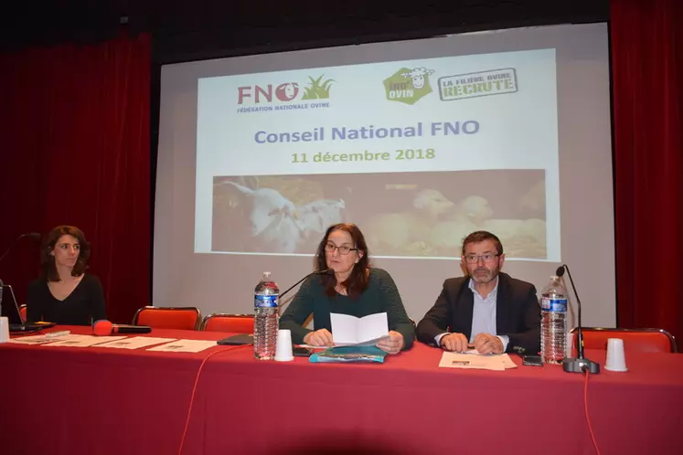Michèle Boudoin, FNO : « Nous devons faire reconnaître nos pratiques vertueuses auprès de l'Europe et l’herbe peut être une clef d’entrée". © D. Hardy