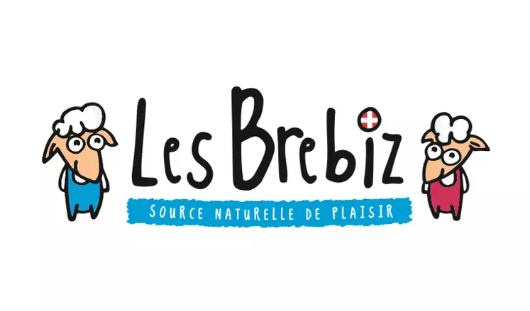  © Brebiz