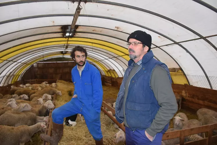 À la demande d’Adrià Gomez (24 ans), Bernard Delabre (64 ans) vient parfois donner un coup de main ou conseiller le jeune éleveur. © D. Hardy