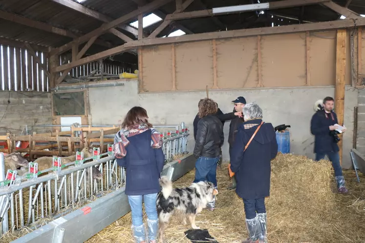 La visite d'élevage après les débats a permis aux éleveurs de comprendre la logique de conduite et de commercialisation de Christophe Guicheux. © B. Morel