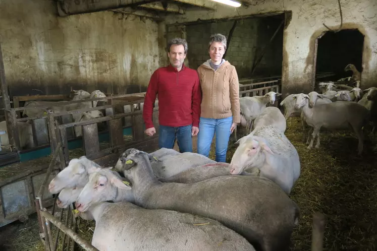 MARYLINE ET VINCENT IMBERT ont choisi de diversifier leur troupeau et leurs activités pour assurer un revenu correct à leur exploitation. © A. Lévêque