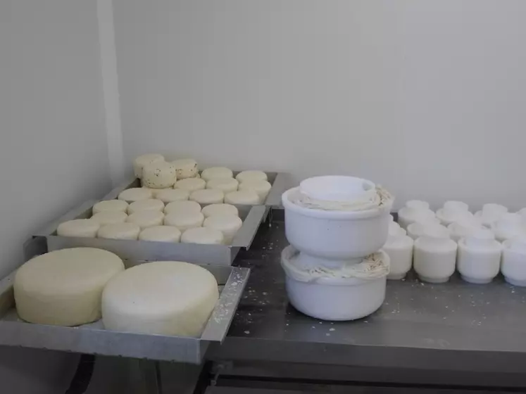 Maryline Imbert propose à son exigeante clientèle une gamme de fromages complète. © A. Lévêque