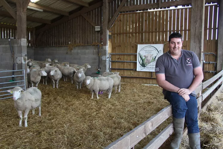 En 2019, Alexis Roptin prévoit de vendre 120 agneaux en direct. © V. Bargain
