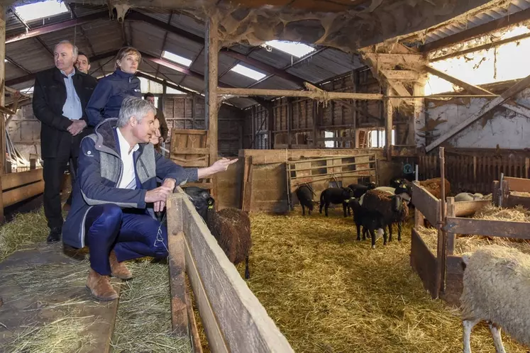 En visite sur l'élevage de la présidente de la FNO, le président de la région Aura a confirmé les aides à la filière ovine et le soutien au pastoralisme contre la prédation.  © M. Peres/Aura